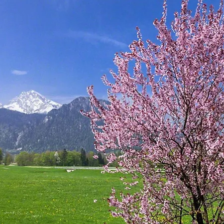 Triembachhof