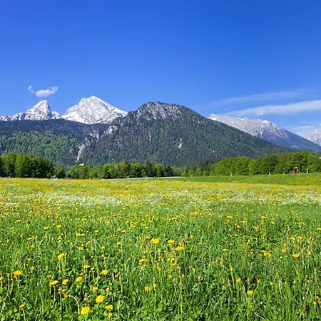 Farma Triembachhof